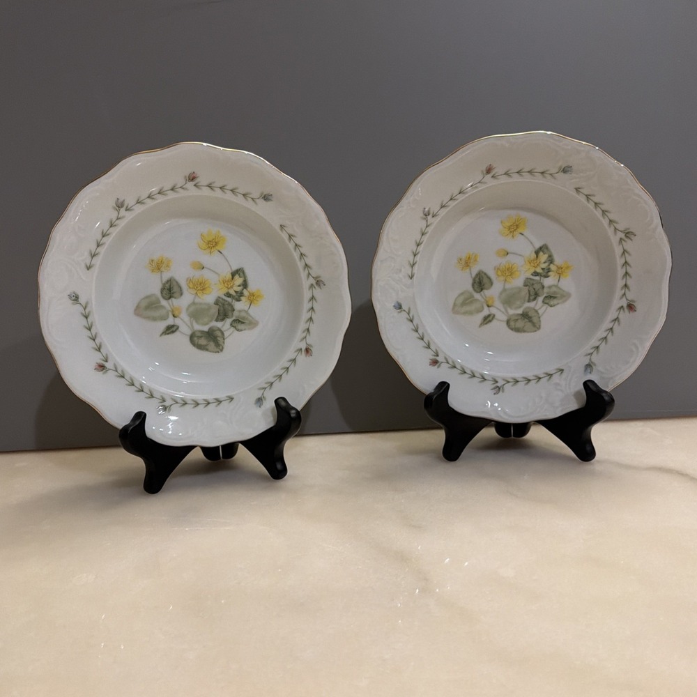 Set of 2 Tienshan Fine China "Floriade" Rimmed Soup Pasta Salad Bowls Floral